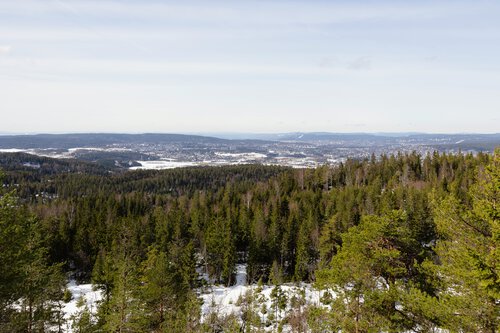 Bjønnåsen