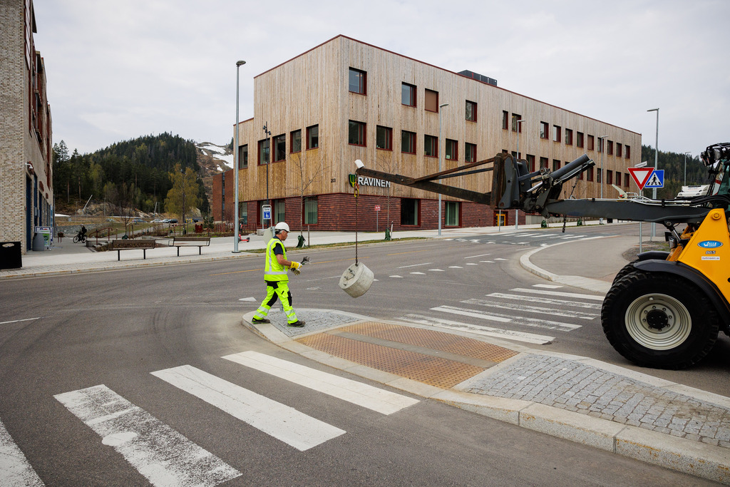 Flaggstenger til 17. mai