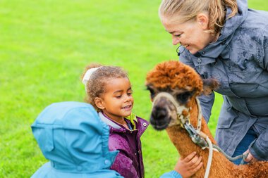 Torva barnehage 20 år