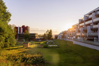 Solnedgang i Blystadlia