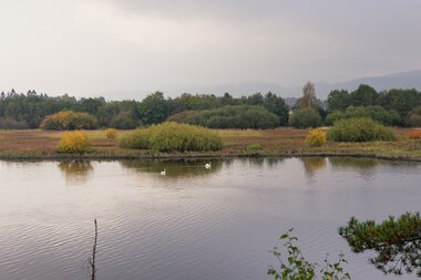 Turstien gjennom Gressnebben