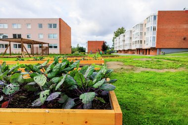 Urbant landbruk Løvenstad