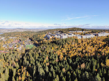 Blystadlia og Sandbekken