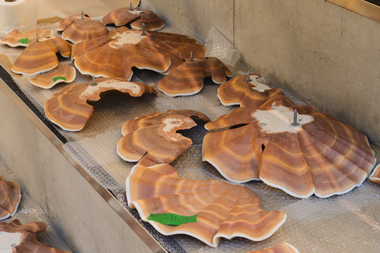 Utsmykning i Ravinen