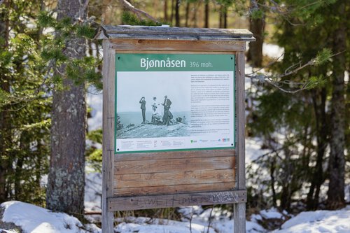 Bjønnåsen