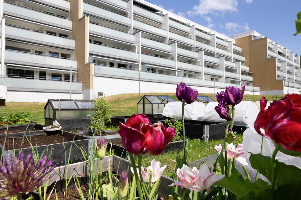 Blystadliahagen om våren