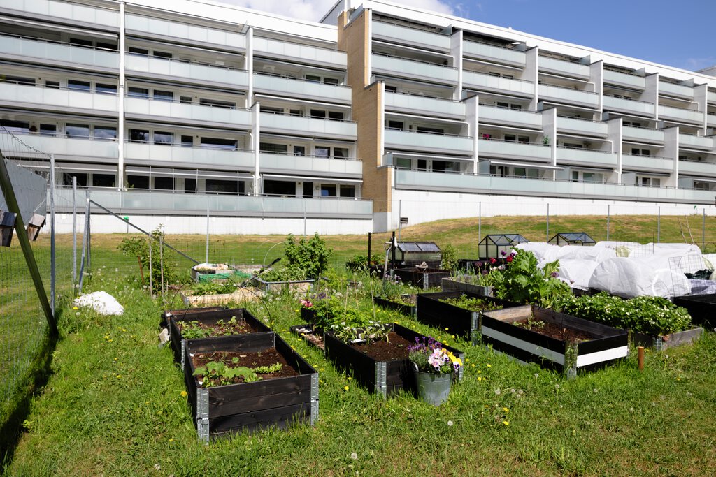 Blystadliahagen med blokker i bakgrunnen 