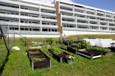 Blystadliahagen med blokker i bakgrunnen 