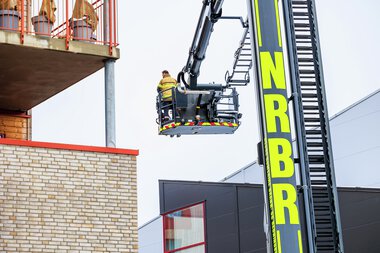 Bjørnis besøker Rælingen