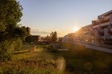 Solnedgang i Blystadlia