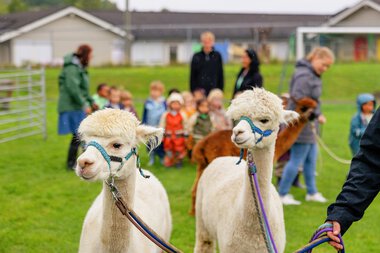 Torva barnehage 20 år