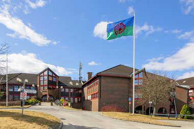 Den internasjonale romdagen