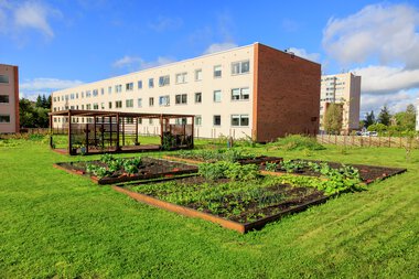 Urbant landbruk Løvenstad