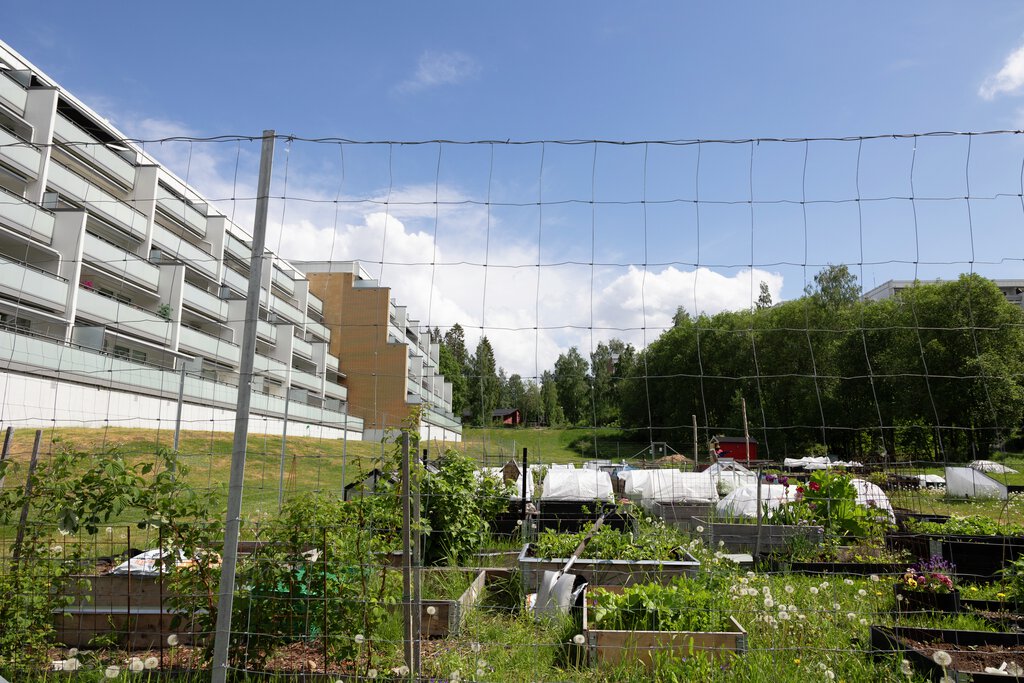 Blystadliahagen bak gjerdet 