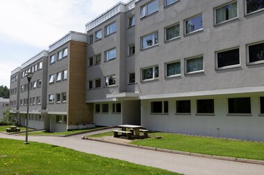 Blokker Elgtråkket  Blystadlia