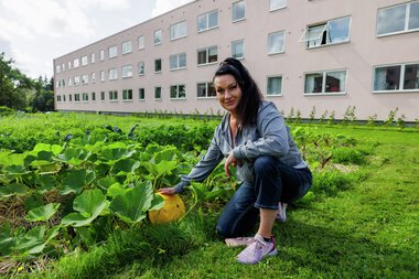 Urbant landbruk Løvenstad