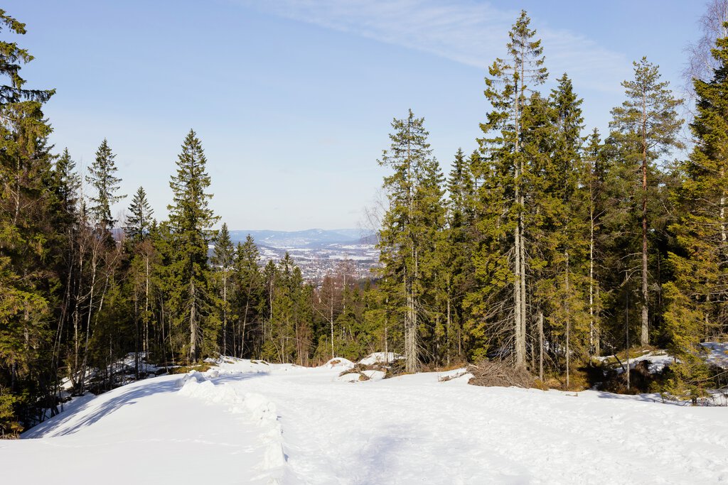 Utsikt fra Marikollen