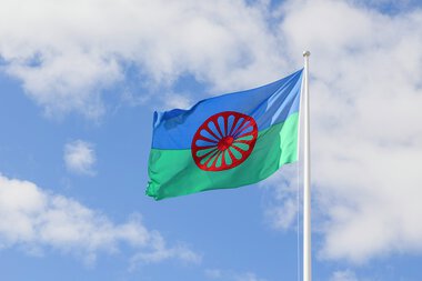 Den internasjonale romdagen