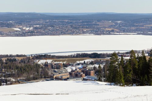 Utsikt fra Marikollen