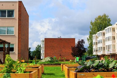 Urbant landbruk Løvenstad
