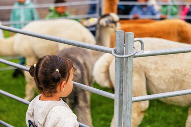 Torva barnehage 20 år
