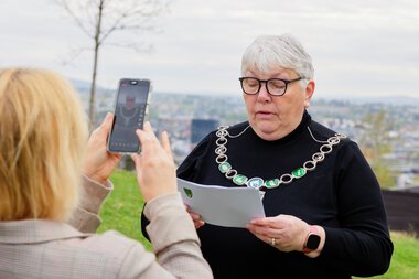 Frigjørings- og veterandagen