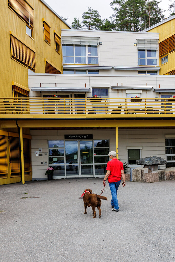 Besøksvenn med hund på Løvenstadtunet