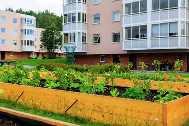 Urbant landbruk Løvenstad