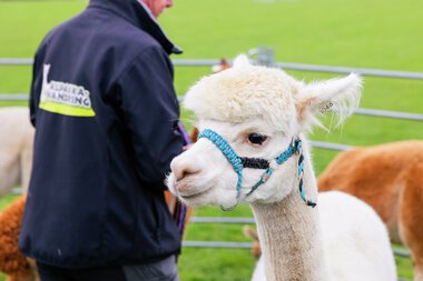 Torva barnehage 20 år