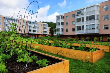 Urbant landbruk Løvenstad