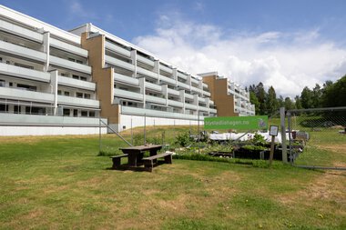 Blystadliahagen ved blokker