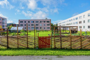 Urbant landbruk Løvenstad