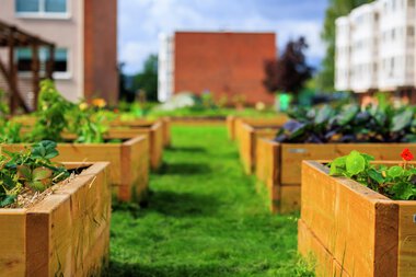 Urbant landbruk Løvenstad