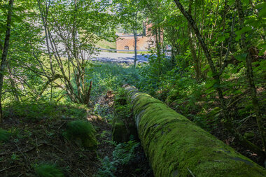 Nordby Bruks Elektrisitetsverk