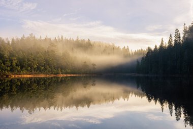 Søndre Nessetertjern