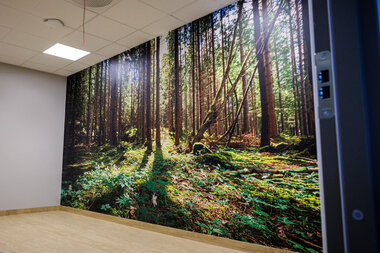 Fototapet på lesesalen i Rælingen bibliotek