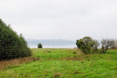 Turstien gjennom Gressnebben