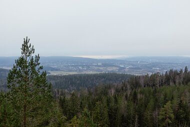 Bjønnåsen