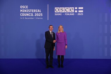 Foreign Minister Espen Barth Eide at OSCE meeting in Vienna