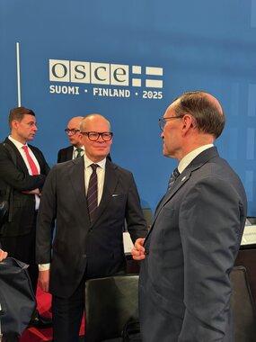 Utenriksminister Espen Barth Eide OSSE-møte Eien