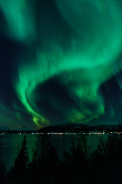 Nordlys om vinteren