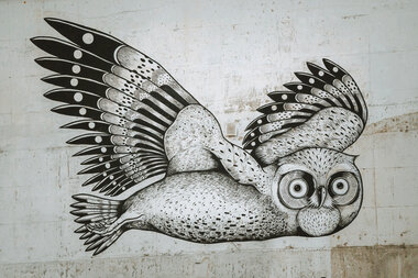 Gatekunst i Tromsø sentrum