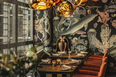 Lucide Inneneinrichtung