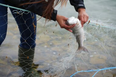 Arctic Future Pathfinders – A journey through the Northwest Passage 3. september