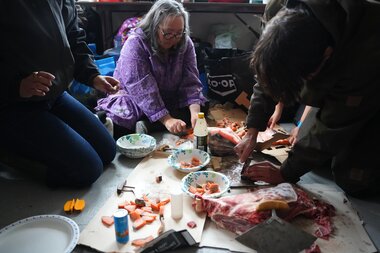 Arctic Future Pathfinders – A journey through the Northwest Passage 3. september