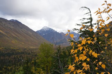 Arctic Future Pathfinders – A journey through the Northwest Passage 14. september