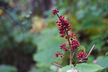 Arctic Future Pathfinders – A journey through the Northwest Passage 14. september