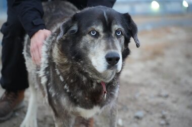 Arctic Future Pathfinders – A journey through the Northwest Passage 3. september