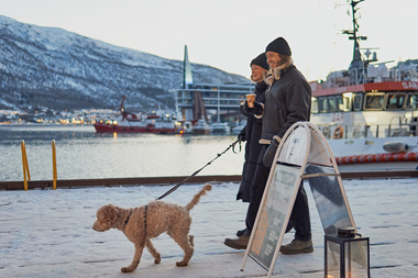 Tur med hund i sentrum