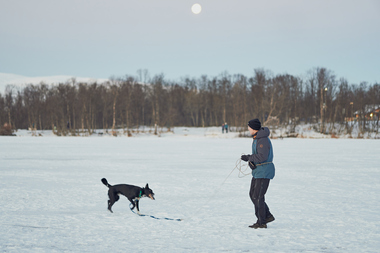 Mennesker ute med hund vinter